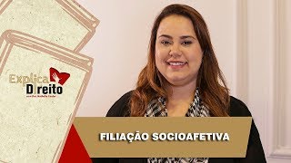 Explica Direito Filiação Socioafetiva  2019 [upl. by Lamahj468]