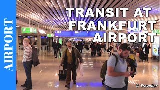 TRANSIT WALK AT FRANKFURT Airport FRA Terminal 1  Connection Flight Transfer Arriving amp Departing [upl. by Aidualc]